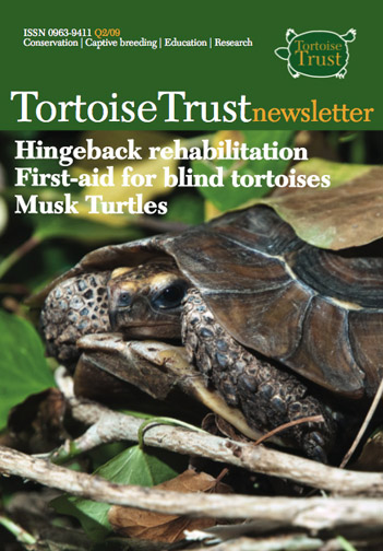 Latest
                Newsletter - Mailing Soon!