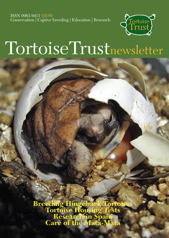 New Newsletter Spring 2010
