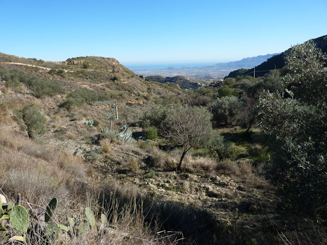 Testudo graeca graeca habitat