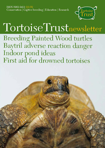 New TT
                  Newsletter